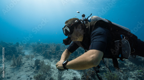 scuba diver in the mexican caribbean