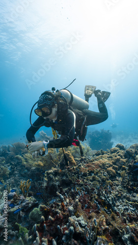 female diver posing among the corals