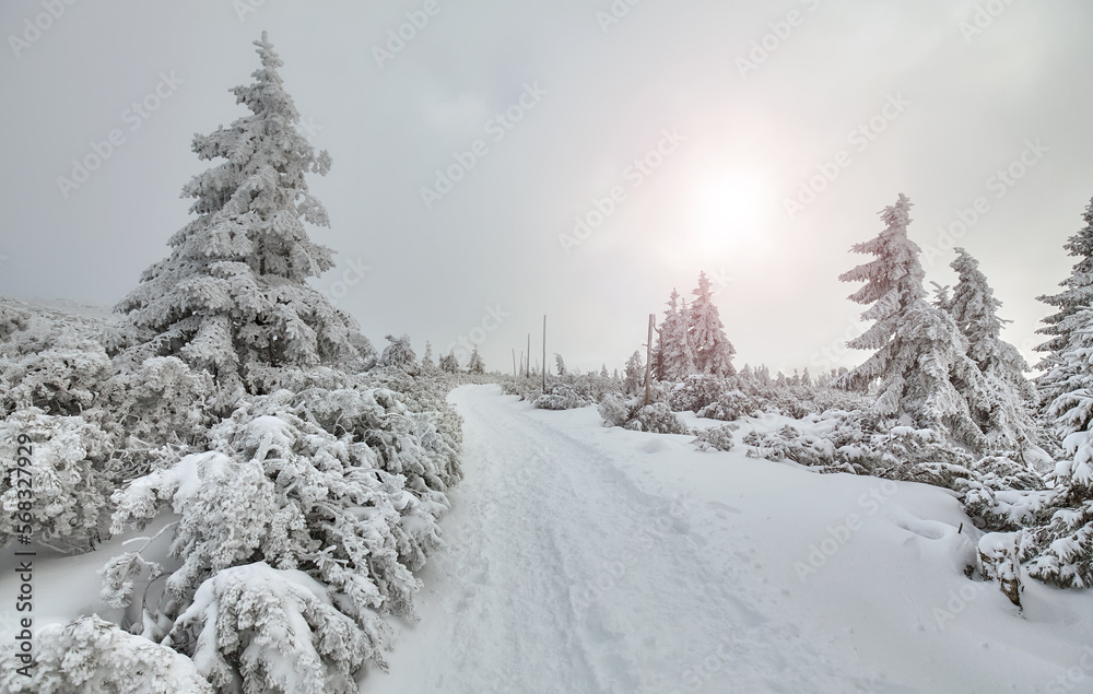 Fototapeta premium Winter mountain landscape with snow covered path, Karkonosze Mountains, Poland.
