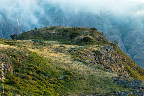 Eucalyptus landscape in Samarrita, Gran Canaria photo