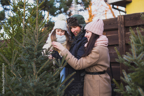 Family together choose the Christmase tree for the evening celebration photo