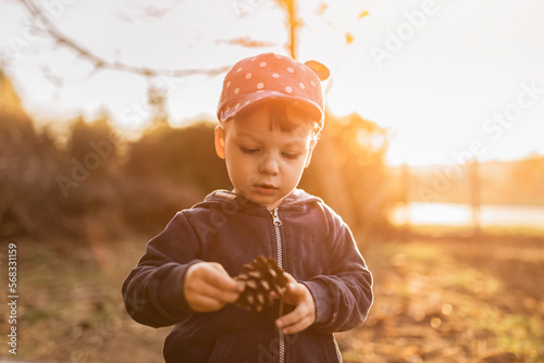 Upper body of toddler boy holding and looking at pine cone outdo photo