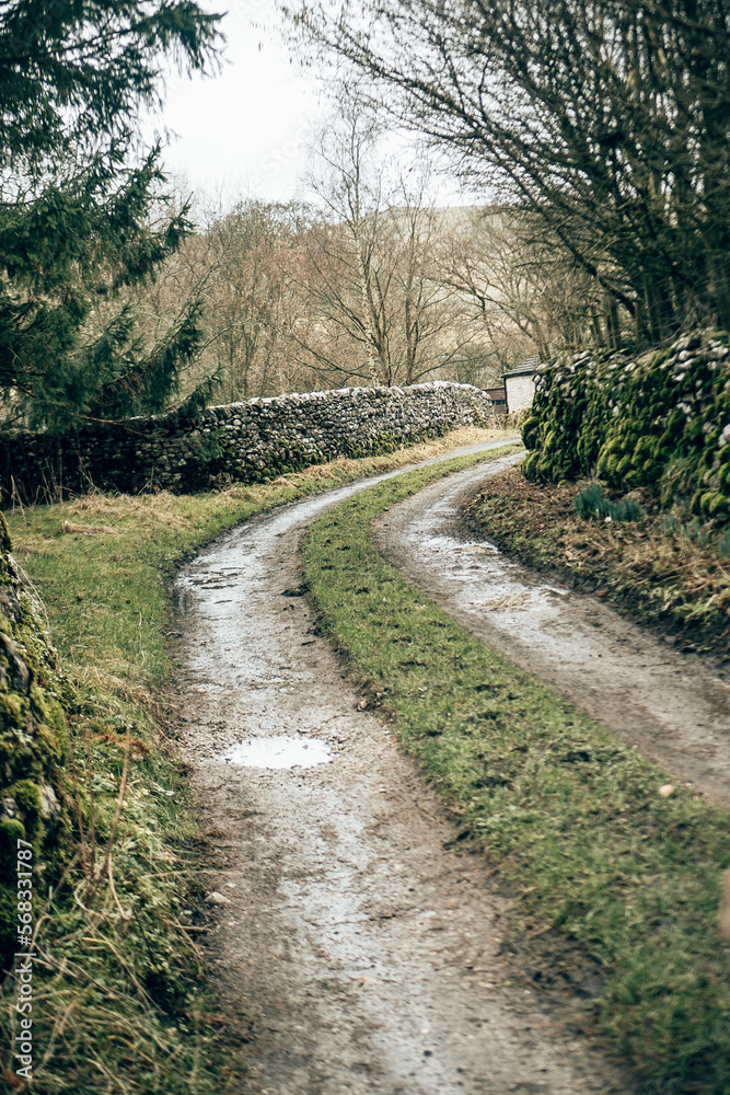 A quiet farm path in the English countryside