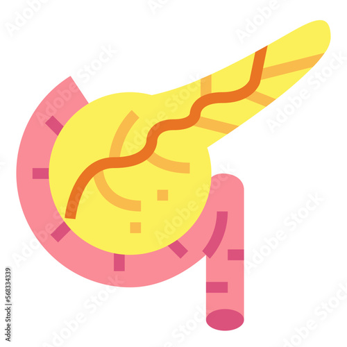 Pancreas flat icon style