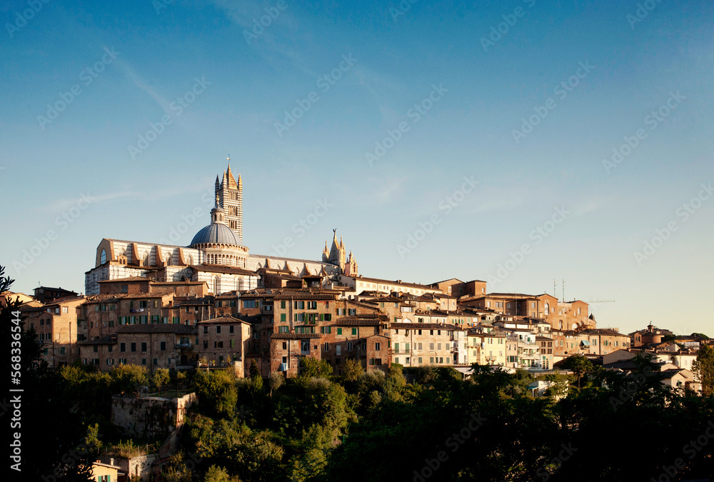 Fototapeta premium panorama of the italian city of siena 