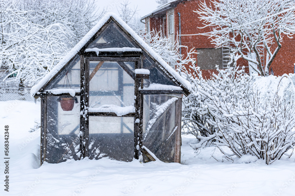 greenhouse in winter, view of small garden in winter, snow covers garden objects, trees