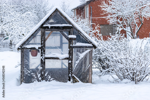 greenhouse in winter, view of small garden in winter, snow covers garden objects, trees