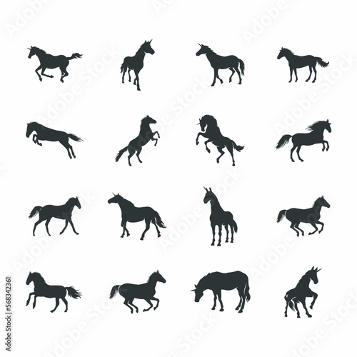 Set of horse silhouettes isolated on white background