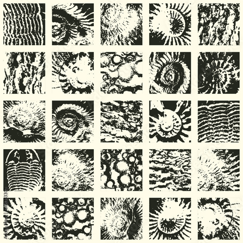 vector abstact seamless pattern background with sea stone texture with imprints of ancient ammonite shells. Suitable for wallpaper design, wrapping paper, fabric, ceramic tiles
