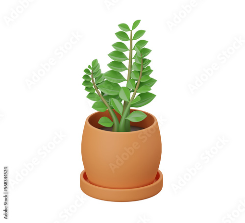 3D zamioculcas zamiifolia in pot