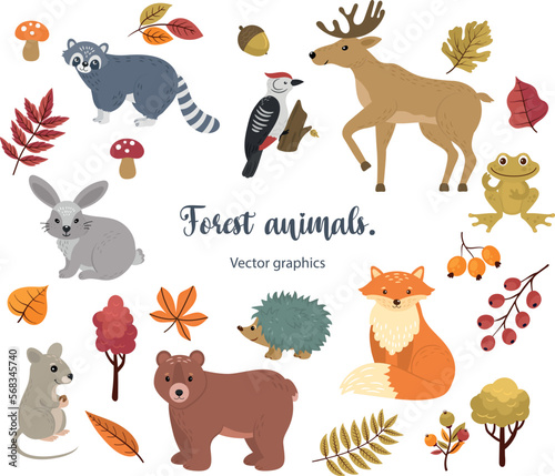 Clipart forest animals .Set of wild animals.