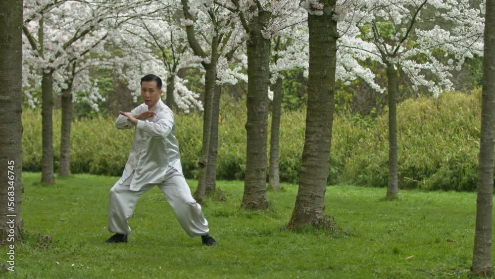Chinese warrior kicking and practicing in cherry orchard in spring. Chinese warrior kicking and practicing in cherry orchard in spring.