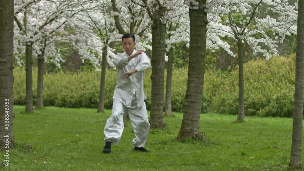 Middle age chinese man in kimono practicing kung-fu in park. Middle age chinese man in kimono practicing kung-fu in park.
