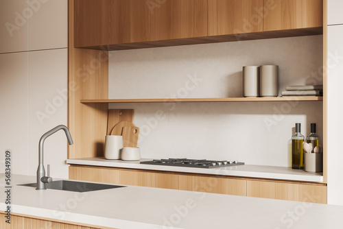 Modern kitchen interior with bar countertop, washbasin and kitchenware