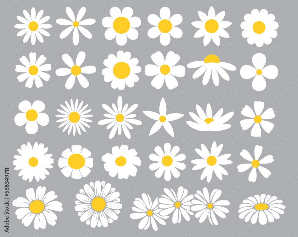 Daisies clipart. Collection of cute round daisies. Simple design. Vector graphics.