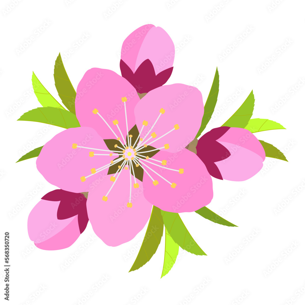 Decorative Illustration of Peach Blossoms and Leaves