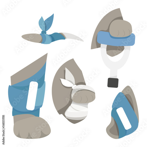 Set of bandaged paw, tail, ear of an animal