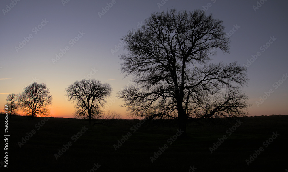 sunset on the farm