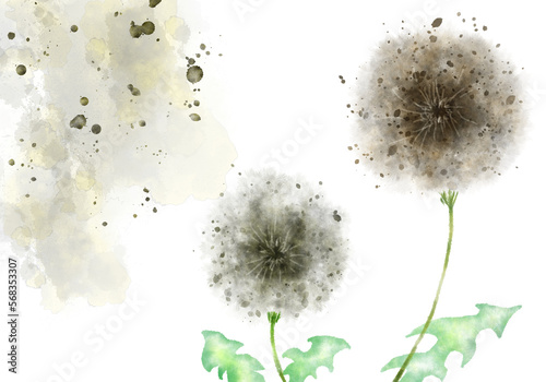Dandelion image on a spring day drawn with watercolor technique