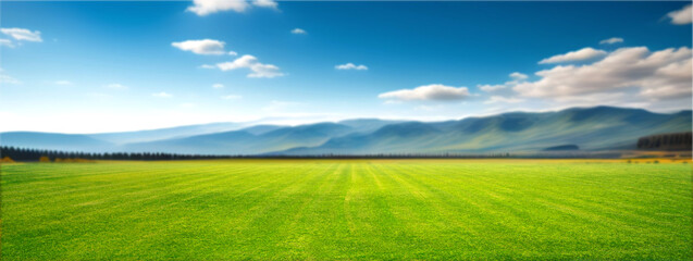 Panoramic natural landscape with green grass field, blue sky with clouds and and mountains in background. Panorama summer spring meadow. Shallow depth of field.