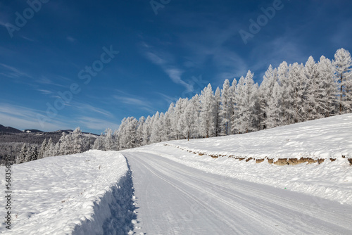 A picturesque winter road in the Altai mountains on a sunny day. Altai Republic, Russia