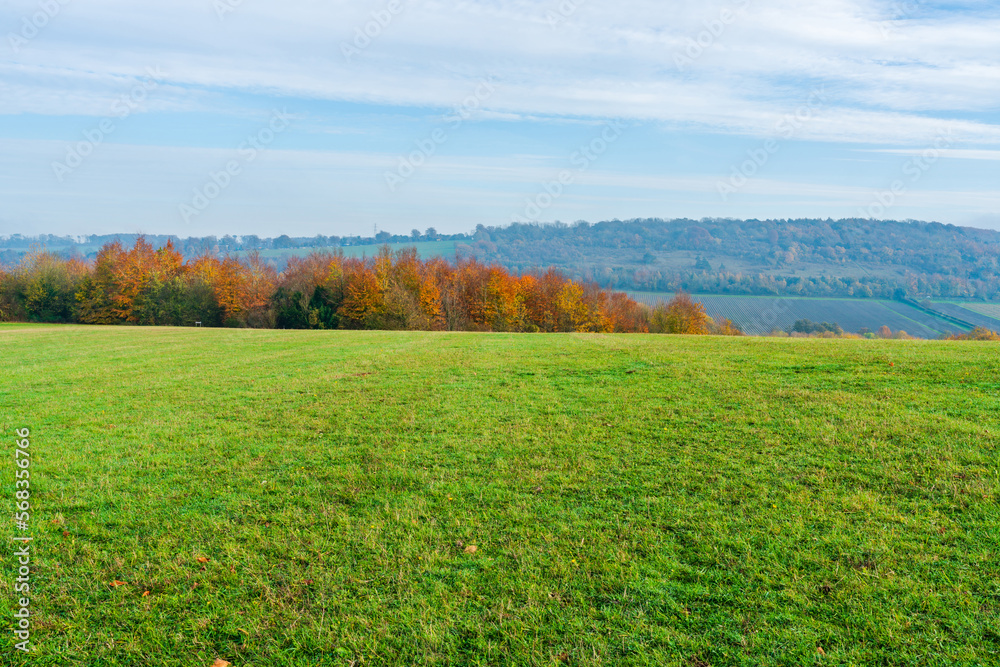 Fototapeta premium Lullingstone Country Park in autumn colours, Kent, UK