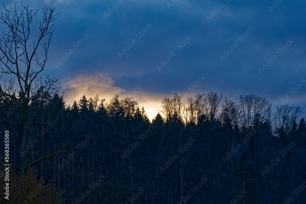 Obraz premium Scenic view of wood with colorful dramatic sky at City of Zürich district Schwamendingen on a cloudy winter evening. Photo taken February 4th, 2023, Zurich, Switzerland.