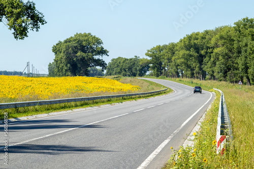 Asphalt road in the countryside on a sunny summer day. A highway and a field of blooming sunflowers on a sunny spring day. A road with a metal fence for cars on the asphalt.