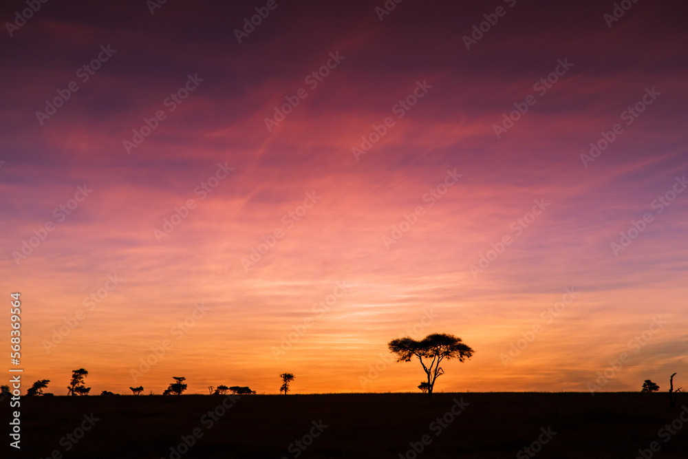 Sonnenaufgang Serengeti