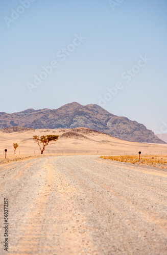 Landscape around Sossusvlei  Namibia