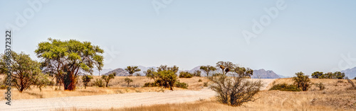 Landscape around Sossusvlei  Namibia