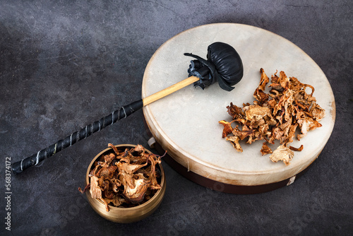 tambourin and mushroom in studio photo