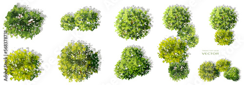 Vector watercolor of blooming tree top view isolated on white background for landscape plan and architecture drawing, elements for environment and garden,botanical elements ,blooming flowers in spring