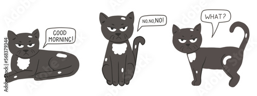 Set with cute grumpy cat in cartoon style. Vector illustration