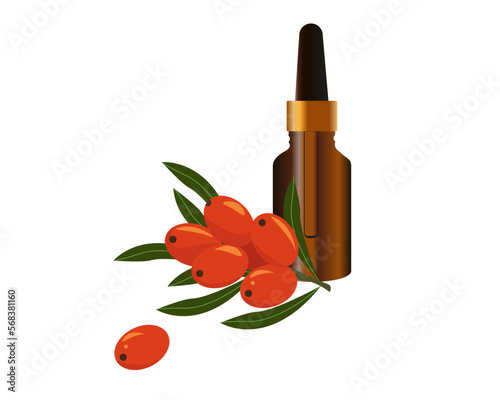 Dark cosmetic bottle for oil, liquid essential oils with sea buckthorn branch. Flat vector illustration