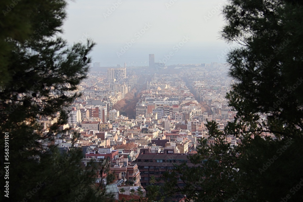 Fototapeta premium A view at Barcelona from Parc Güell, Barcelona, Spain