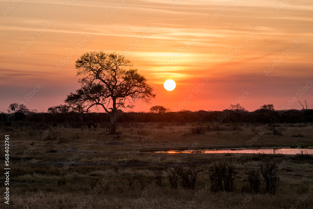 sunset in the serengeti