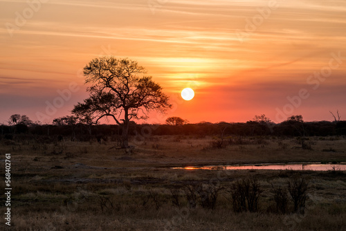 sunset in the serengeti
