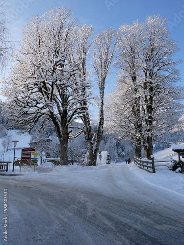 Bäume am Bach in Aberg photo