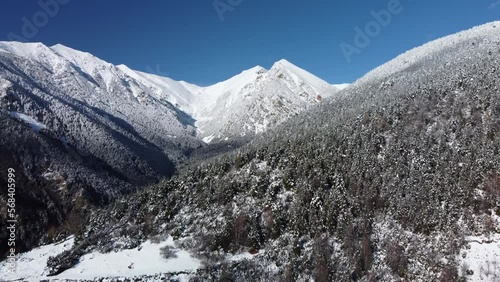 Aerial flight over Vallter (Pyrenees of Girona) and snowy peak of Gra de Fajol mountain in the background. Setcases, Ripollés, Catalonia. Vacations, travel, nature and tourism concept. 4k drone shot.