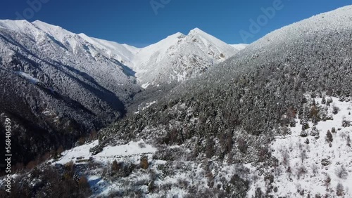 Aerial view of beautiful snowy mountains and forest with alpine trees covered with snow. Snowy peak of Gra de Fajol mountain in Vallter, Setcases, Ripollés, Girona Pyrenees, Catalonia. 4k drone shot.