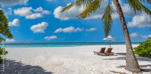 Fototapeta Naklejka Na Ścianę i Meble -  Tranquil tropical beach banner. White sand coco palms travel tourism wide panorama. Summer sea horizon, idyllic island beautiful nature. Amazing beach landscape. Luxury island resort vacation holiday