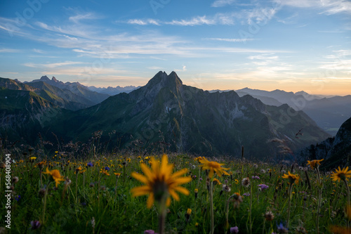 Höfats Sommerwiese