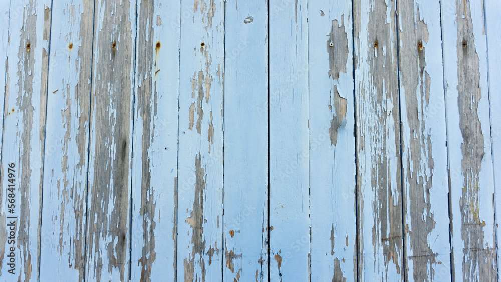 Fototapeta premium Textura madera