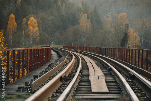 a railway bridge with concrete piers across the Prut River in Yaremche. Ukraine. trains often pass through this bridge. the bridge is located in a mountainous area