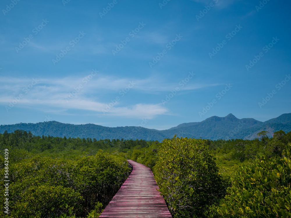 Salakphet Mangrove Walkway at Koh Chang in Trat, Thailand Salakphet Mangrove Walkway at Koh Chang in Trat, Thailand