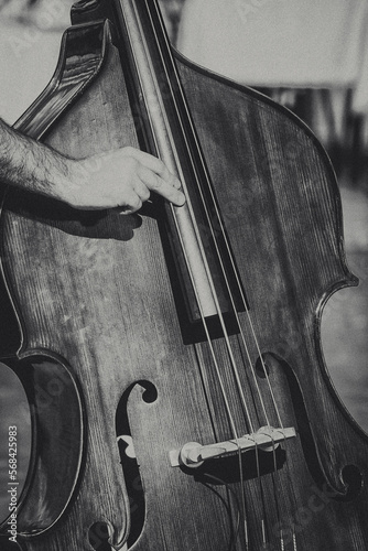 A musician playing the double bass