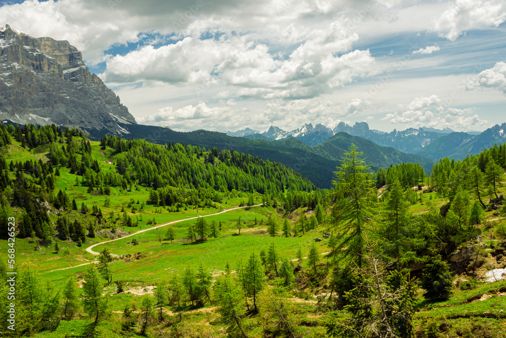 Mountain summer landscape. Trees on the meadow with the mountains in the background. Staulanza Pass, Belluno, Italy.