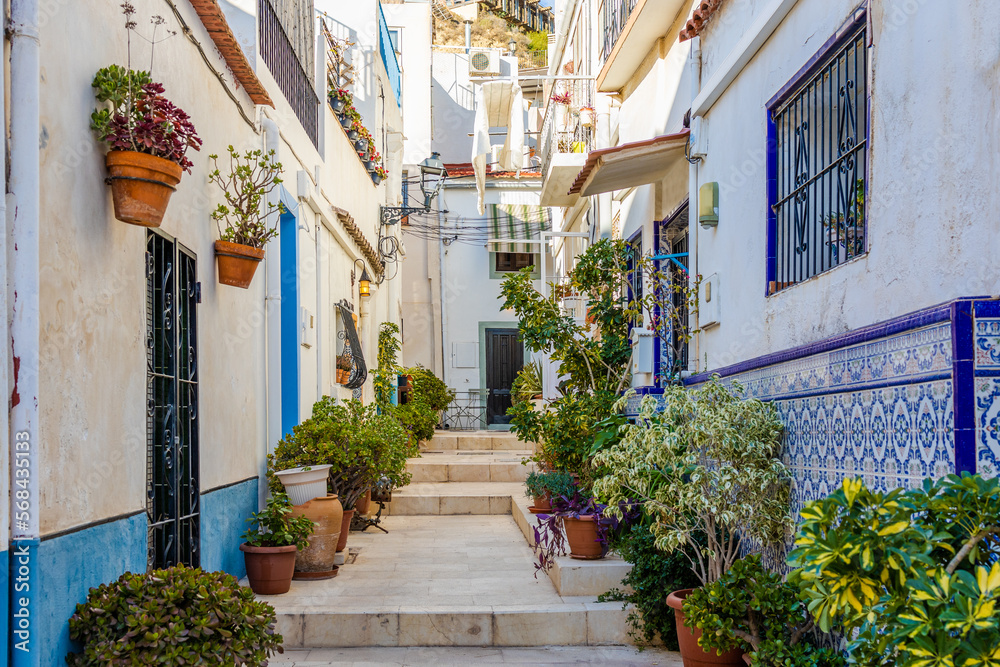 Obraz premium Schmale Gasse durch spanische Altstadt, mit bunten Häusern und Pflanzen vor der Tür und auf dem Weg, bei sonnigem Wetter