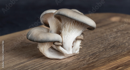delicious organic oyster mushrooms on wooden background, top view